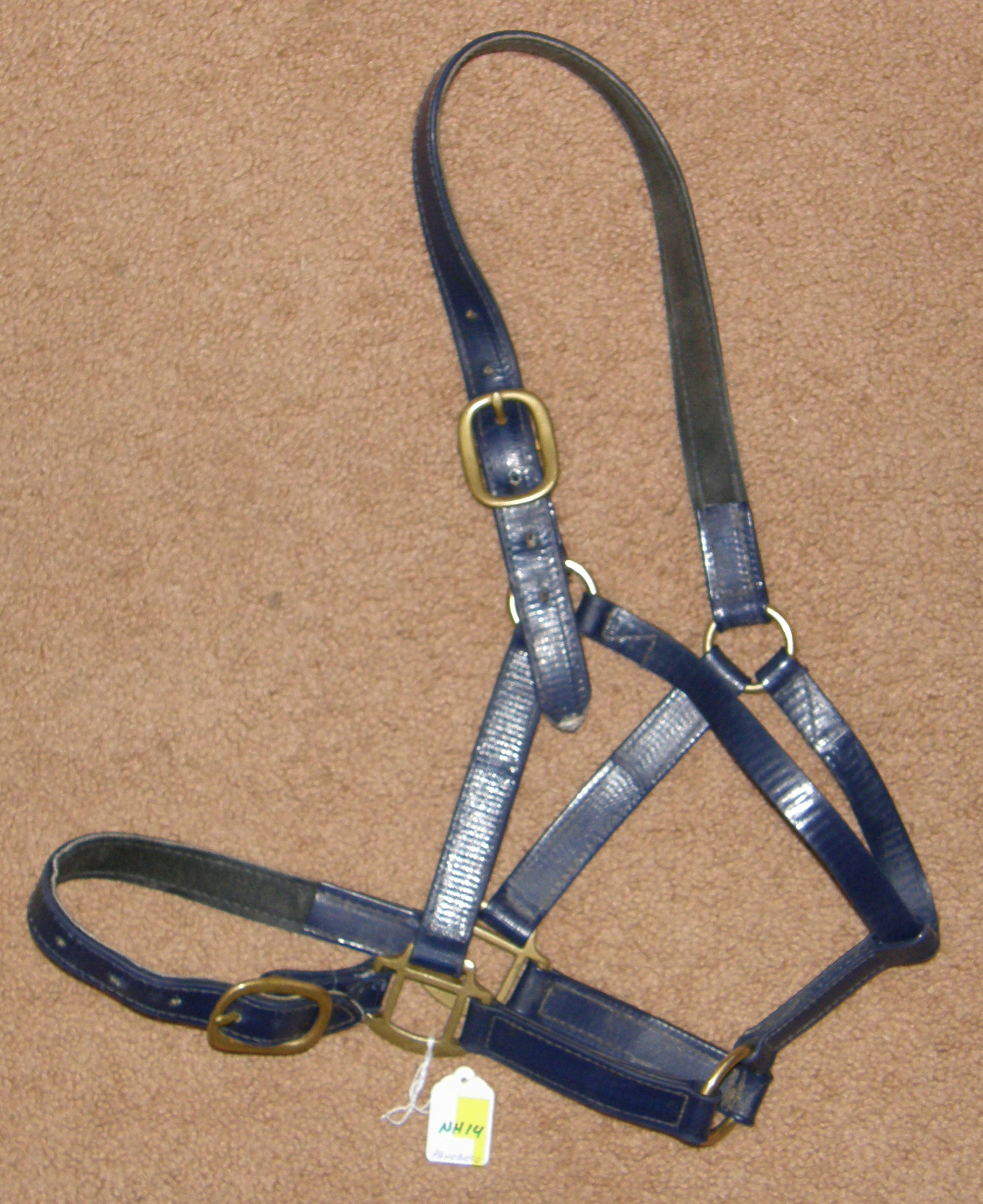halters horse